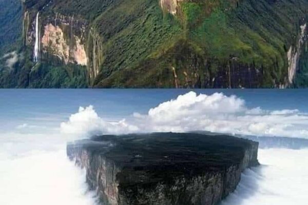 Our Sacred Planet Mother Earth in all of it’s Amazing Beauty and the Quote of the Day 225