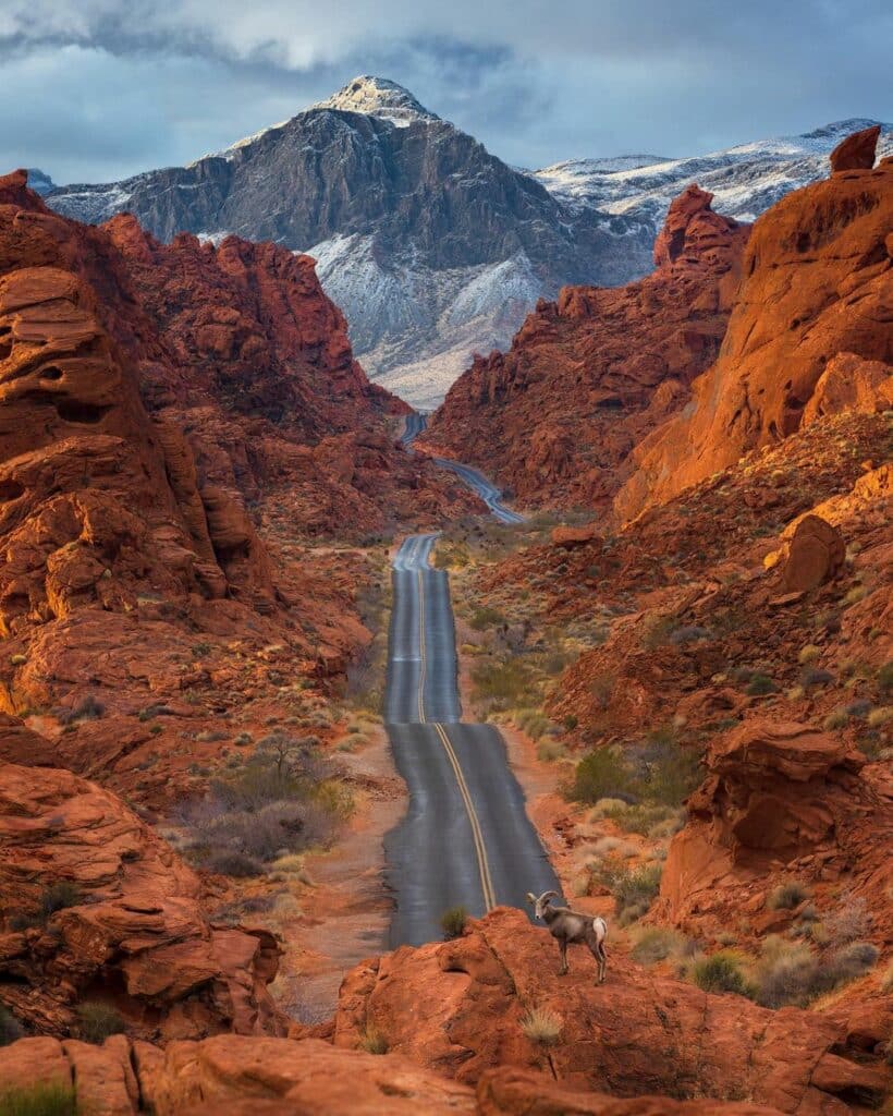 Our Sacred Planet Mother Earth in all of it’s Amazing Beauty and the Quote of the Day 230