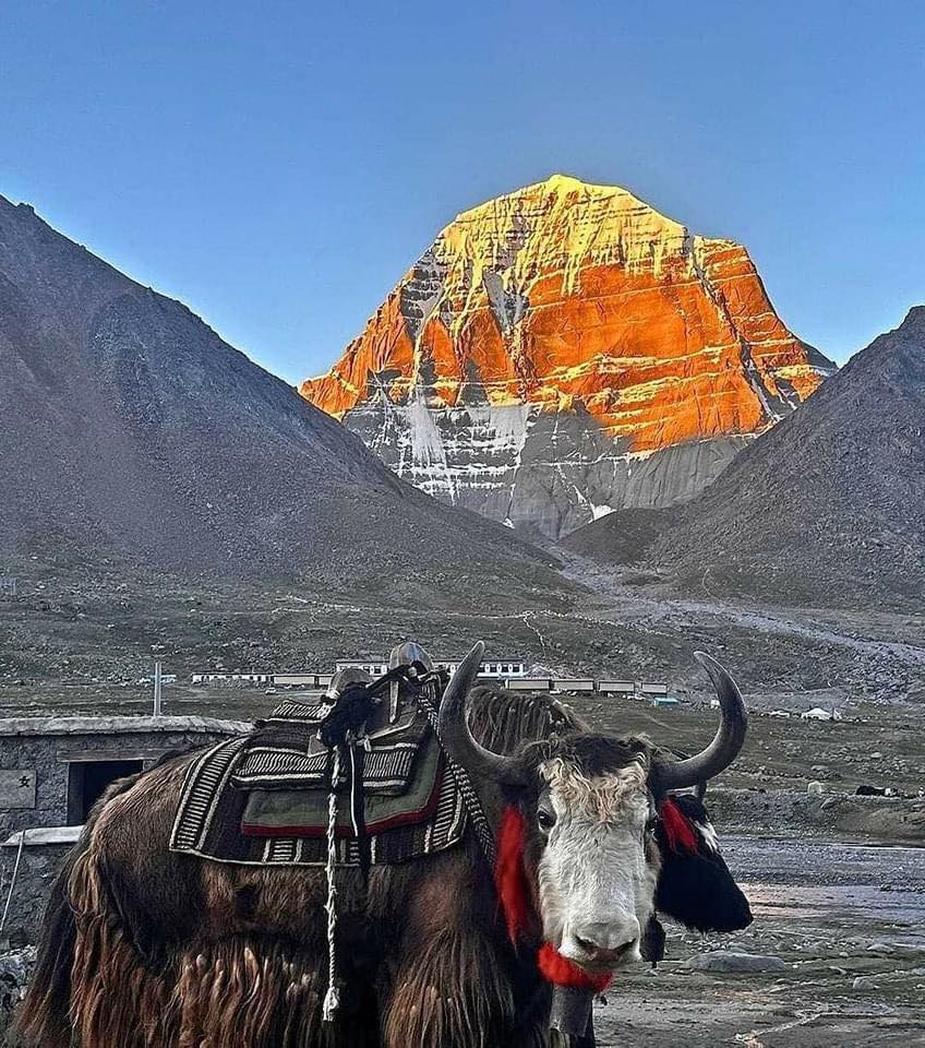 Our Sacred Planet Mother Earth in all of it’s Amazing Beauty and the Quote of the Day 236