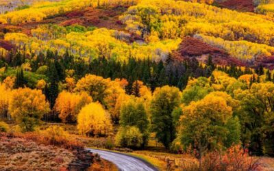 Our Sacred Planet Mother Earth in all of it’s Amazing Beauty and the Quote of the Day 248
