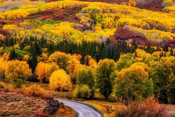 Our Sacred Planet Mother Earth in all of it’s Amazing Beauty and the Quote of the Day 248