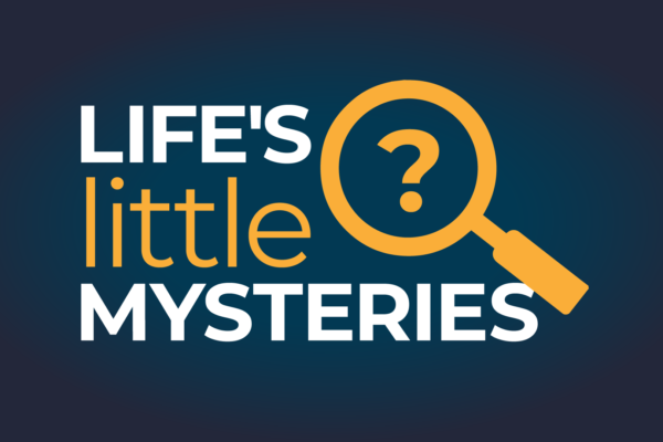 How many cosmic particles are passing through your body at any moment?