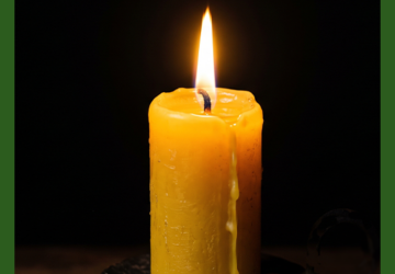 Our Nameless Grief: Mourning Dolly