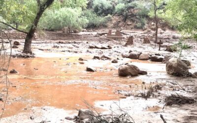 One Confirmed Dead, At Least 15 Remain Missing After Major Flash Flood Strikes Grand Canyon National Park