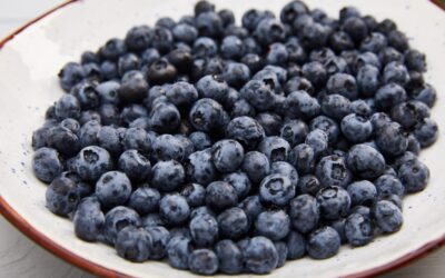 The case for eating blueberries every day, according to a nutritionist