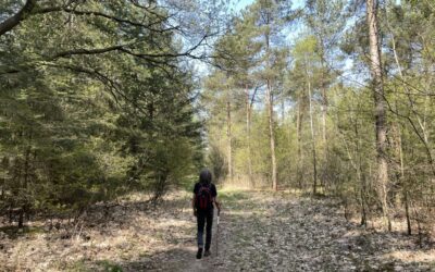 What forest bathing does to your body, and the 5 best places to try it