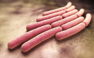Why the poo taboo has held back a killer disease, and what’s changing