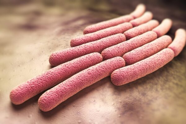 Why the poo taboo has held back a killer disease, and what’s changing