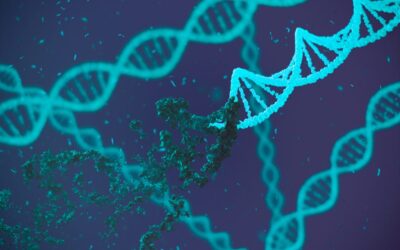 How inherited genetics shape the way cancer forms and evolves