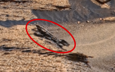 Crashed Drone on Planet Mars In NASA rover Photo, UFO UAP discovery News. 📰 VIDEO!