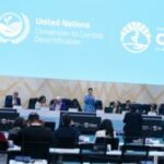 ENB-IISD-Anastasia-Rodopoulou-UNCCD-COP17-28Aug2026-Photo-127_1-1-300x225-1