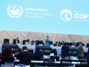 Africa’s Pastoralists Need More Than COP17’s .2 billion Rangelands Pledge