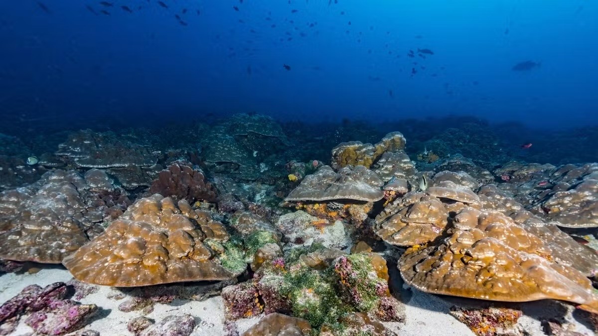 ‘This is such a clear story’: Climate change is supercharging El Niño to unprecedented strengths, study finds