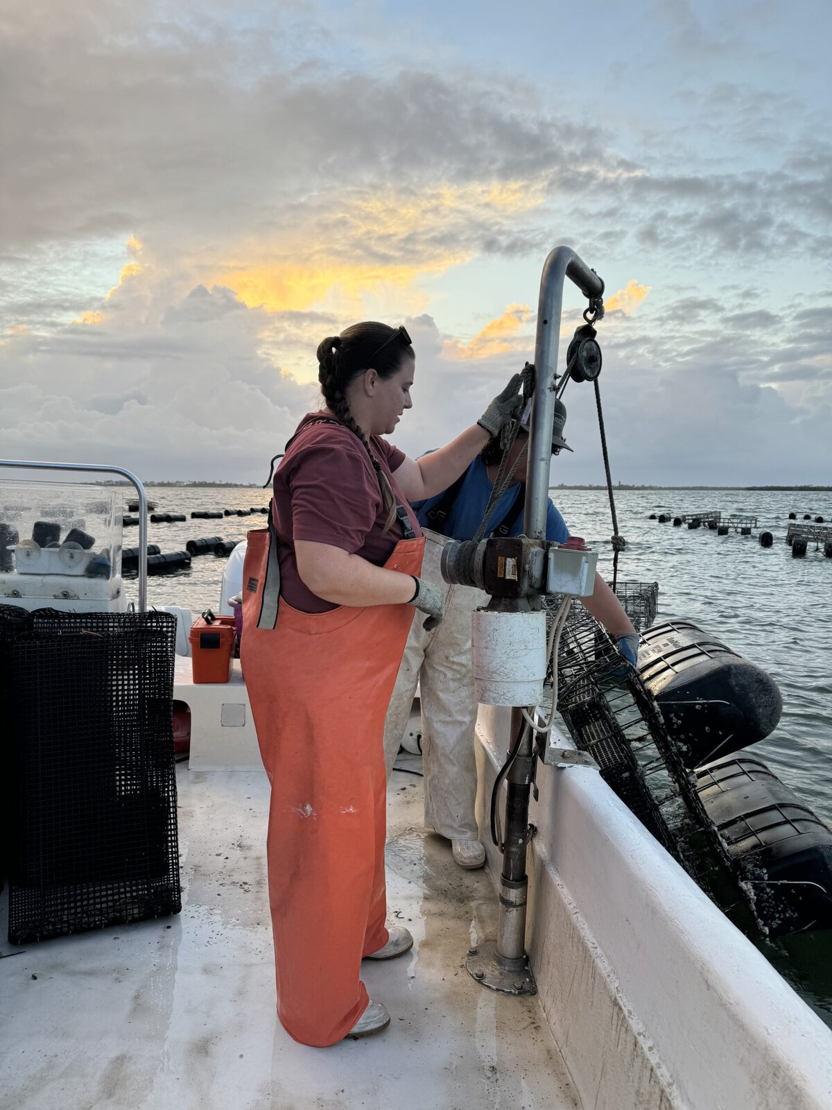 Oyster farmer Nicolette Mariano hauls up oyster cages on her farm for harvest. Nicolette runs Treasure Coast Shellfish, located off the coast of Sebastian, Florida, in the Indian River Lagoon Estuary.
