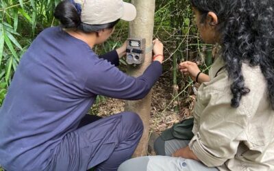 Want to See a Tiger? Let These Women Be Your Guides