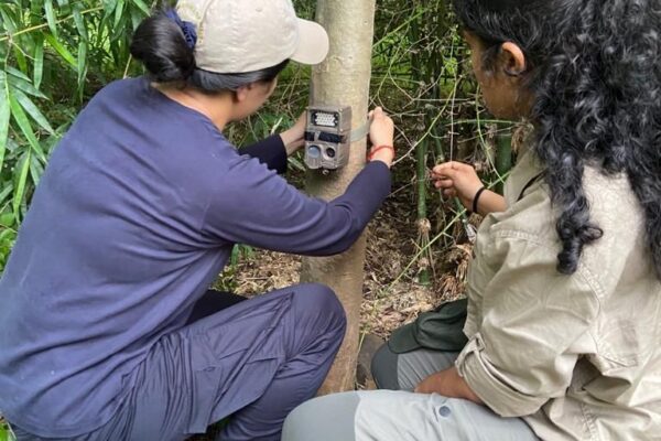 Want to See a Tiger? Let These Women Be Your Guides