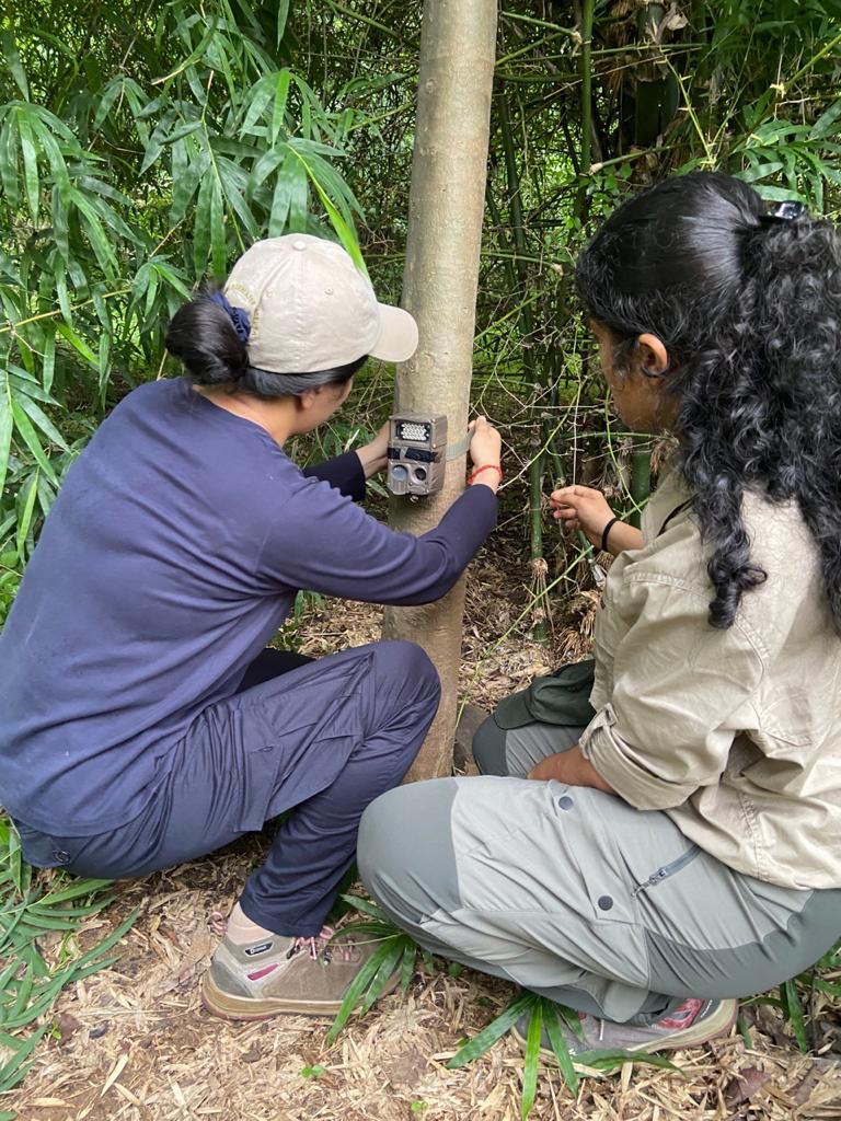 Want to See a Tiger? Let These Women Be Your Guides