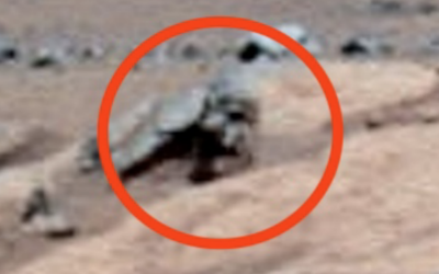 2 Meter Tall Face Found On Mars Near Spirit Rover, NASA Index, UFO UAP Sighting News.