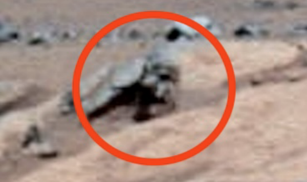 2 Meter Tall Face Found On Mars Near Spirit Rover, NASA Index, UFO UAP Sighting News.