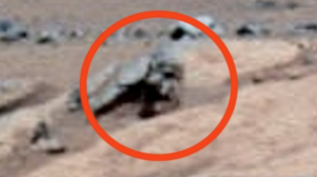 2 Meter Tall Face Found On Mars Near Spirit Rover, NASA Index, UFO UAP Sighting News.