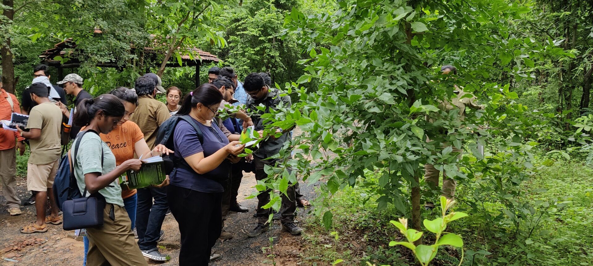 People look at guide books in the jungle.