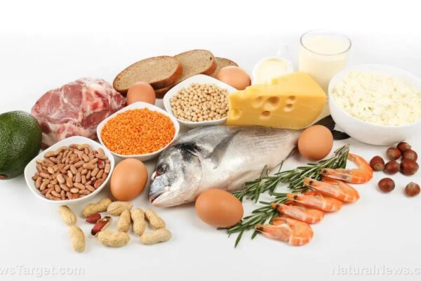 The high-protein diet revolution: Simple strategies for better health and muscle growth