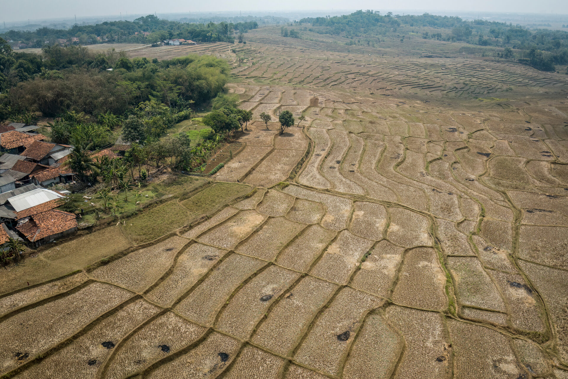 Aerial view of dry, cracked terraced rice fields in Bogor, West Java, Indonesia, with a small village and trees visible on the left edge.