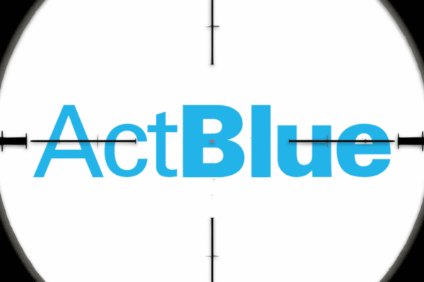 JUST IN: ActBlue Co-Founder Pleads the Fifth During Closed-Door Meeting
