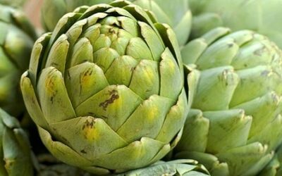 Artichokes: Nutrition, Benefits, & How To Cook And Eat Them