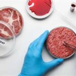 The Status of Cell-Cultured Meat Regulations cell-cultured-meat-regulations-thumb