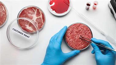 The Status of Cell-Cultured Meat Regulations