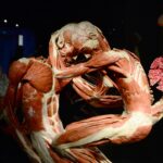 gunther-von-hagens-the-body-worlds-creator-died-at-81-and-will-be-plastinated-pe-2