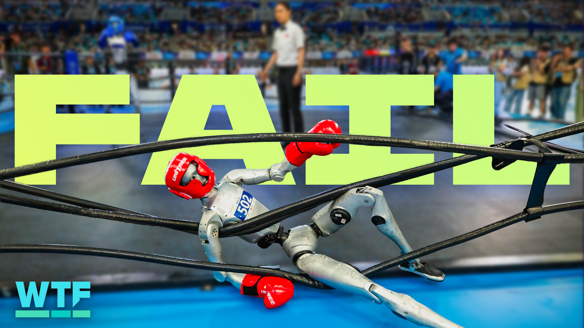 Highlights From Chinas Humanoid Robot Olympics