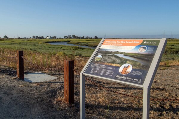 Horizontal Levees Are Spreading Across the Bay Area