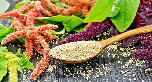 What is Amaranth? History, Benefits, and Uses
