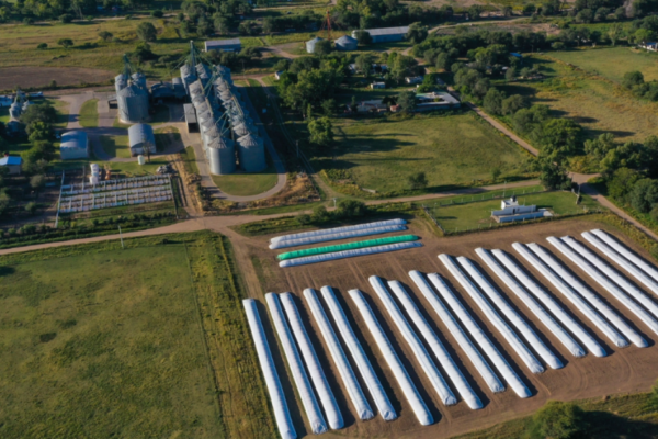 Milei’s Land Reform Hits a Wall: Argentina’s Senate Blocks Opening Rural Property to Foreign Buyers