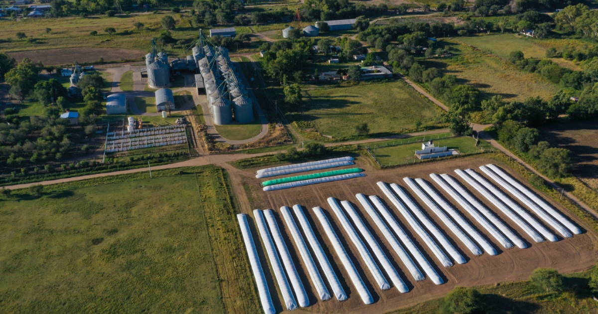 Milei’s Land Reform Hits a Wall: Argentina’s Senate Blocks Opening Rural Property to Foreign Buyers