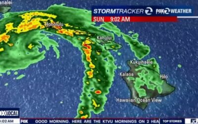 One Dead, Thousands without Power and Homes Swept Away as Hurricane Lala Slams Into Hawaii’s Big Island (VIDEO)