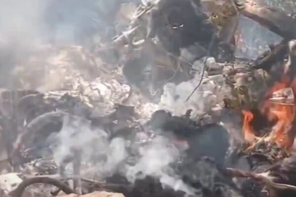 Seven People, Including Five Americans and a Telemundo Executive, Die in Helicopter Crash in Kenya