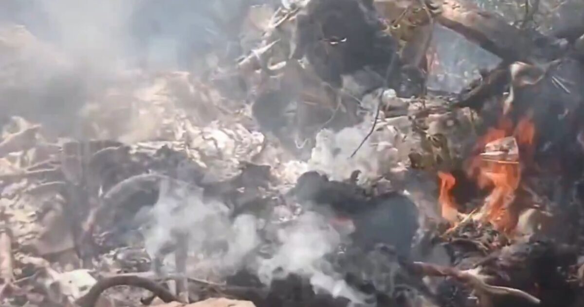 Seven People, Including Five Americans and a Telemundo Executive, Die in Helicopter Crash in Kenya