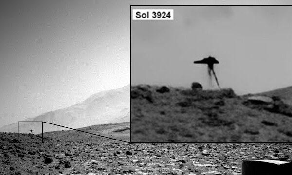 Jellyfish-Like Entity Captured in the Martian Sky