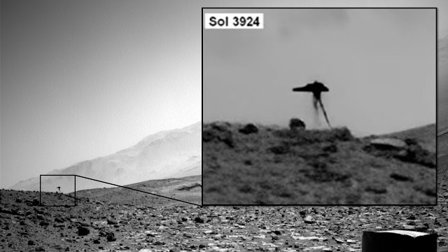 Jellyfish-Like Entity Captured in the Martian Sky