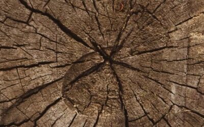 Science & Spirit: All About Aging