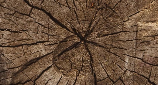 Science & Spirit: All About Aging