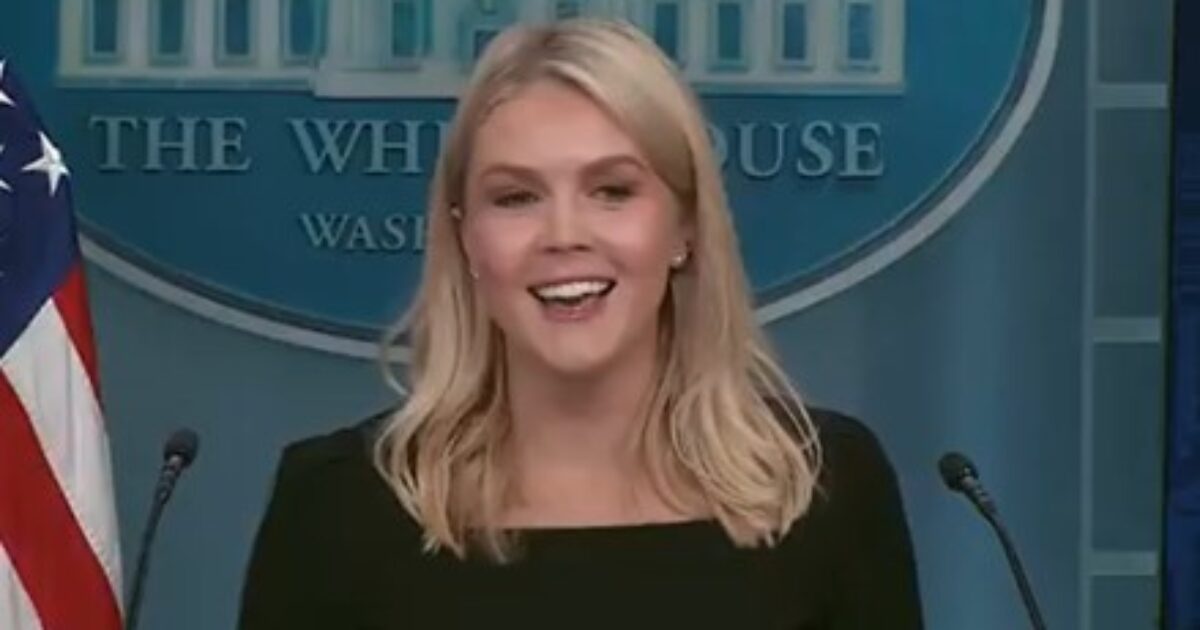 Karoline Leavitt Reveals What Her New Job Will Be After Leaving the White House