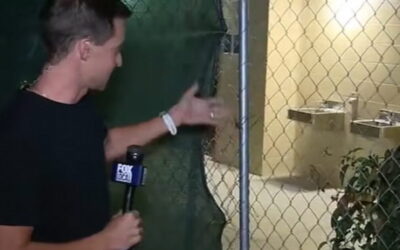 Public Restroom in Los Angeles That Cost  MILLION to Build, Still Not Open Six Months After Completion (VIDEO)