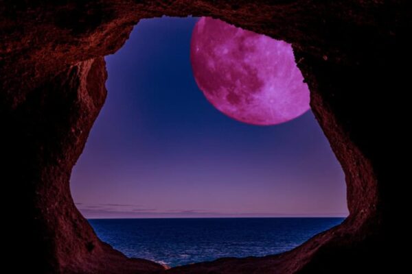 Lunar Eclipse in Pisces 2026 – and Tarot Readings for Every Zodiac Sign
