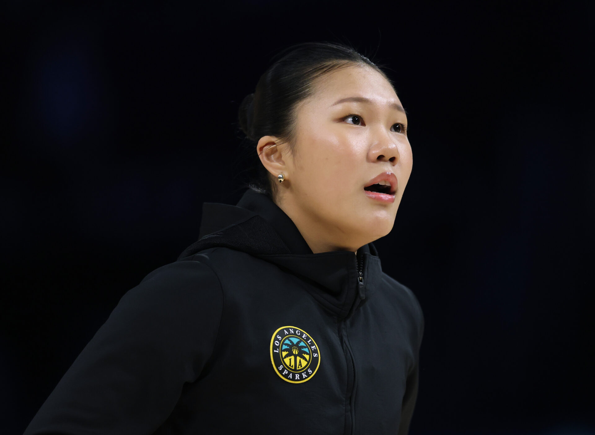 More Sex Toys Were Thrown on the Court During a WNBA Game