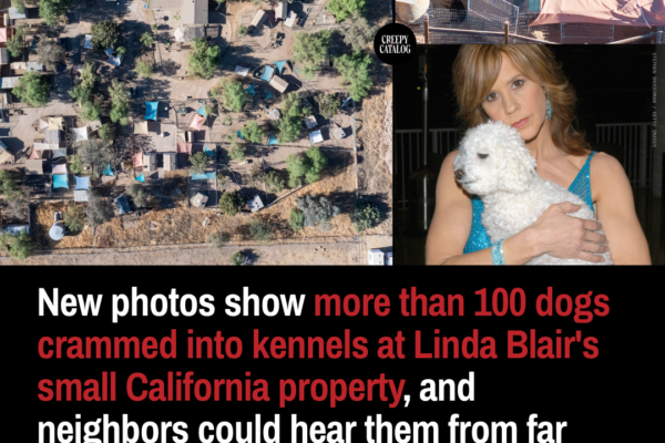 New Photos Show More Than 100 Dogs Crammed into Kennels at Linda Blair’s Small California Property, and Neighbors Could Hear Them from Far Away