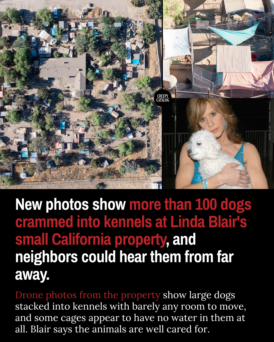 New Photos Show More Than 100 Dogs Crammed into Kennels at Linda Blair’s Small California Property, and Neighbors Could Hear Them from Far Away